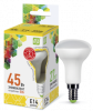 Лампа LED R50-5Вт-220В-E14-3000К-450Лм (ASD)